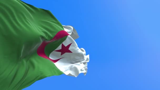 Cezayir Bayrağı Gerçekçi Bayrak Sallama Arkaplanı — Stok video