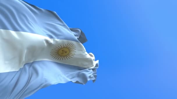 Drapeau Argentine Réaliste Agitant Drapeau Arrière Plan — Video