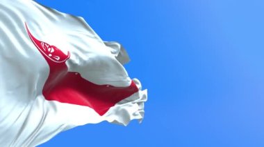 Paskalya Adası Rapa Nui bayrağı - 3D gerçekçi bayrak sallama arkaplanı