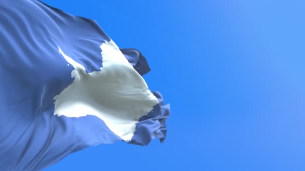 Antarctica Vlag Realistische Golvende Vlag Achtergrond — Stockvideo