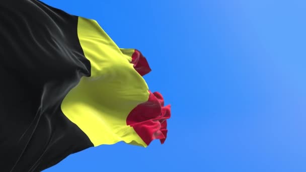 Belgie Vlajka Realistické Vlnění Vlajky Pozadí — Stock video