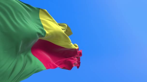 Drapeau Bénin Fond Drapeau Agitation Réaliste — Video