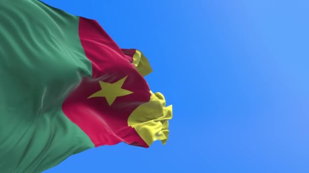 Kamerunská Vlajka Realistické Vlnění Vlajky Pozadí — Stock video