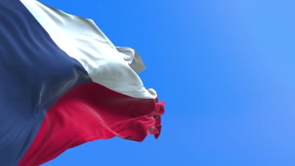 Czech Republic Flag Realistic Waving Flag Background — Stock Video