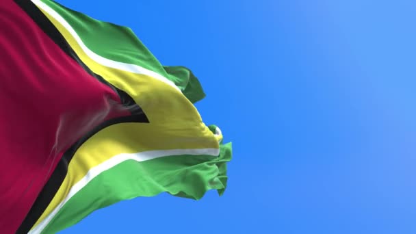 Guyana Bayrağı Gerçekçi Bayrak Sallama Arkaplanı — Stok video