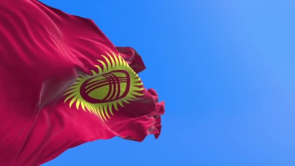 Kirghizistan Bandiera Realistico Sventolando Bandiera Sfondo — Video Stock