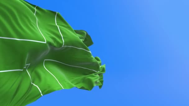 拉多尼亚旗 三维现实的挥旗背景 — 图库视频影像