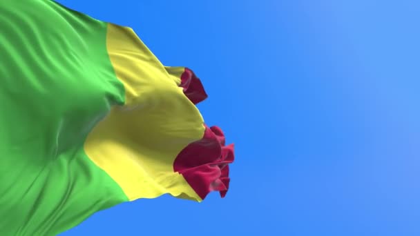 マリ国旗 3D現実的な旗の背景 — ストック動画