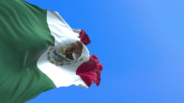 Mexiko Flagga Realistisk Viftande Flagga Bakgrund — Stockvideo