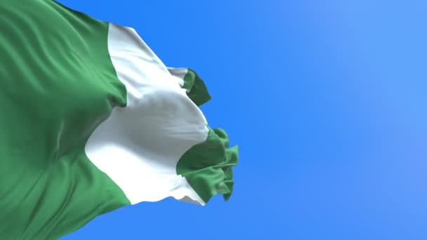 ナイジェリアの旗 3D現実的な手のフラグの背景 — ストック動画