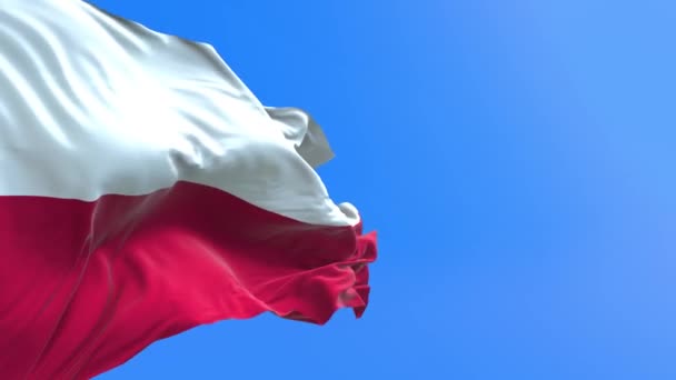 Bandeira Polônia Realista Acenando Fundo Bandeira — Vídeo de Stock