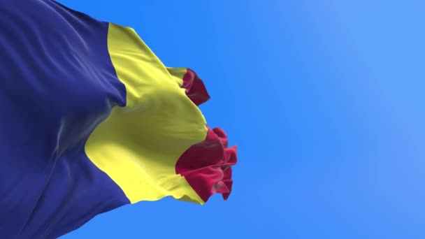 Romanya Bayrağı Gerçekçi Bayrak Sallama Arkaplanı — Stok video