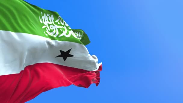 Somaliland Flagga Realistisk Viftande Flagga Bakgrund — Stockvideo
