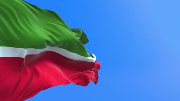 Tataristan Bayrağı Gerçekçi Bayrak Sallama Arkaplanı — Stok video