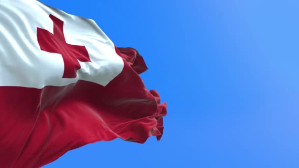 Bandera Tonga Fondo Bandera Ondeante Realista — Vídeo de stock