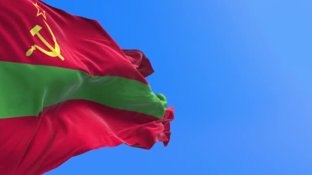 Transnistria Bayrağı Gerçekçi Bayrak Sallama Arkaplanı — Stok video