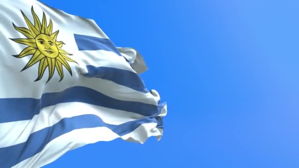 Uruguay Flagga Realistisk Viftande Flagga Bakgrund — Stockvideo