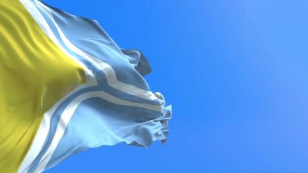 图瓦旗 三维现实的挥旗背景 — 图库视频影像