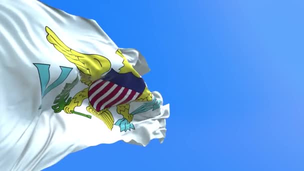 维尔京群岛美国国旗 三维现实挥动国旗背景 — 图库视频影像