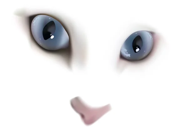 Chat blanc aux yeux bleus — Image vectorielle