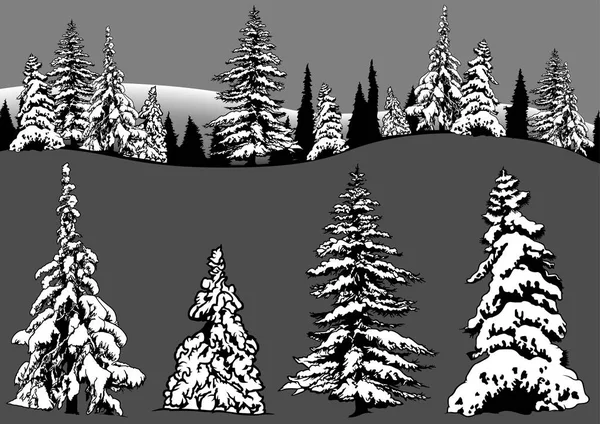 Snowy Coniferous Tree Set - Stok Vektor