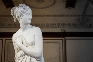 Venice, İtalya - 27 Haziran 2016: Venüs heykeli ayrıntılı olarak Palazzo Du