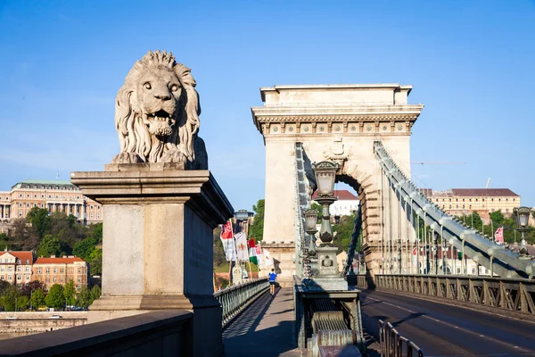 BUDAPEST, HUNGARY - 2017 MAY 19th: lion statue at the beginning — Stock Photo, Image