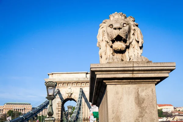 布达佩斯，匈牙利-2017 5 月 19 日︰ 狮子雕像在开始 — 图库照片