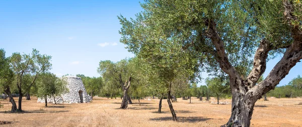 Puglia bölgesi, İtalya. Taştan yapılmış geleneksel ambar