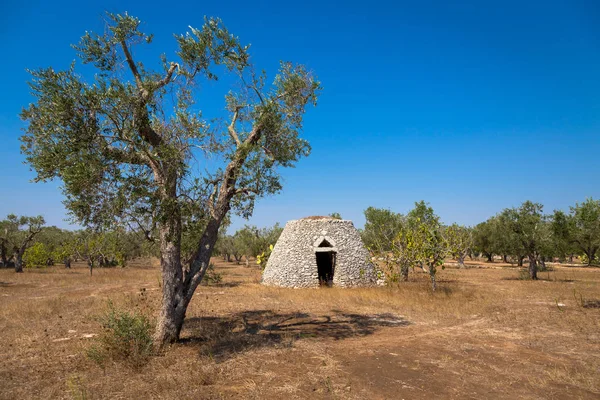 Puglia régióban, Olaszország. Hagyományos raktározási, kő — Stock Fotó