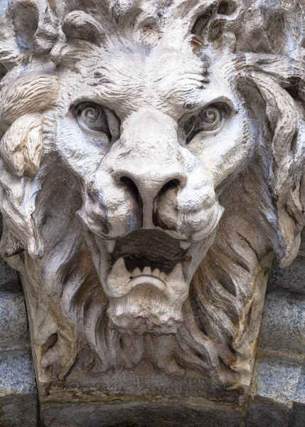 Lion-Shaped Demon head — Stock Photo, Image