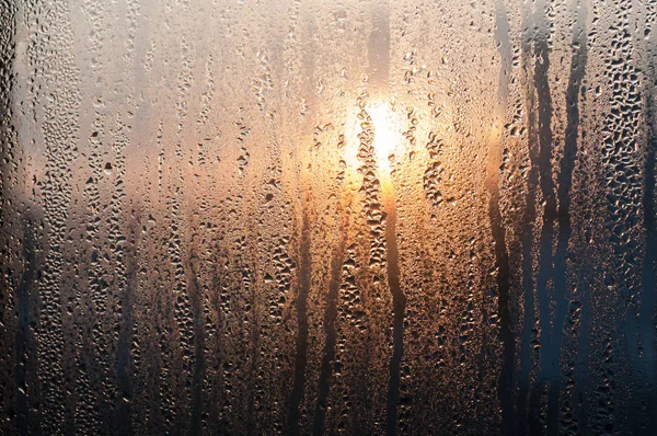 Wassertropfen auf Glasscheibe. — Stockfoto