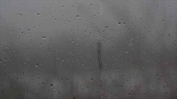 Rain drops and wet snow melt and flow down the glass. — Stock Video
