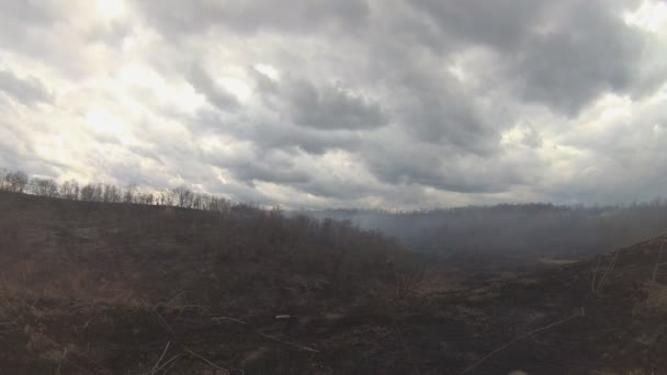 Arbres carbonisés noirs et herbe dans la fumée après le feu dans la vallée le fond sombre des nuages . — Video