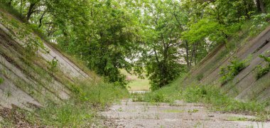 Parkta ağaçların arasında denize beton kaldırım.