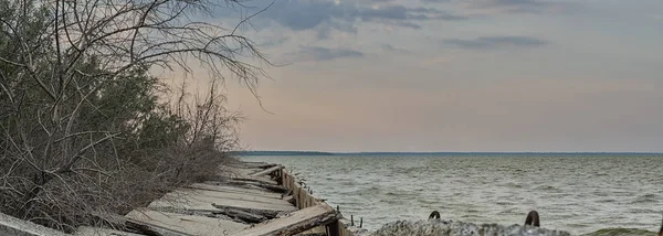 Lajes de concreto quebrado ao longo da praia e árvores secas no Mar de Azov, Ucrânia . — Fotografia de Stock