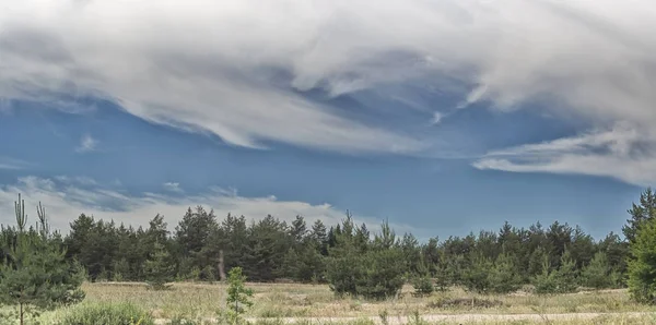 在蔚蓝的天空与云层背景松林的视图。美丽的风景. — 图库照片