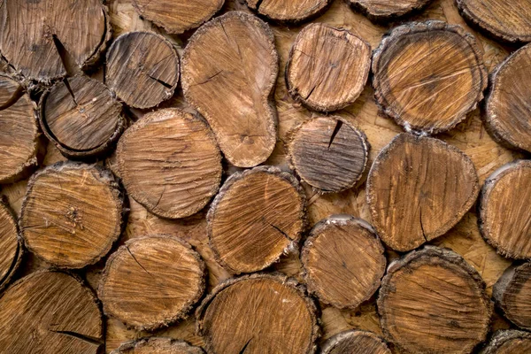 Sections of tree trunks. Wooden wall background