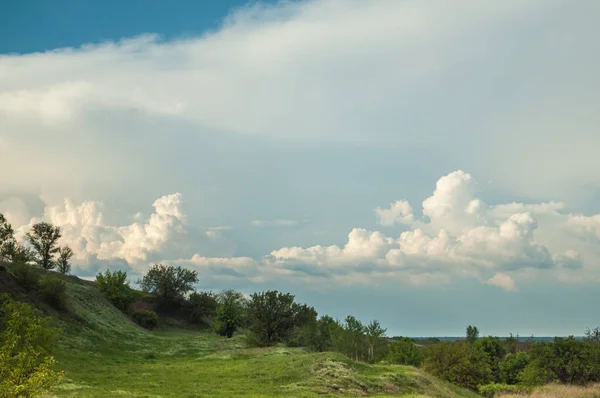 Pente avec des arbres verts contre le ciel bleu — Photo