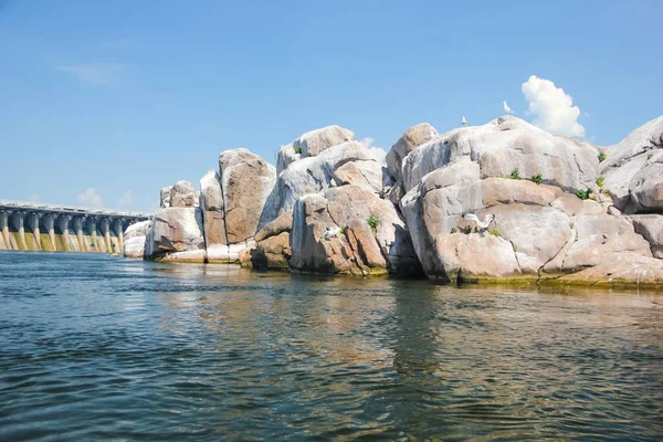 Кам'яний острів птахів посеред річки на тлі греблі — стокове фото