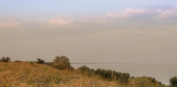 美丽的风景与草和海在蓝天背景 — 图库照片