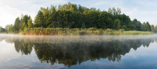 Панорама. Красивый пейзаж. Рассвет на реке с туманной дымкой на фоне зеленого леса — стоковое фото