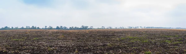 Panorama, landbouwlandschap. Veld na oogst op blauwe lucht met wolkenachtergrond Stockafbeelding