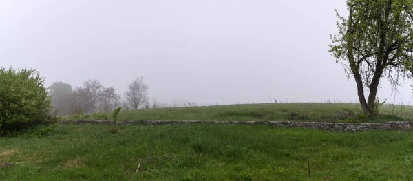 Vista panorámica. Paisaje natural, niebla matutina en un prado verde — Foto de Stock