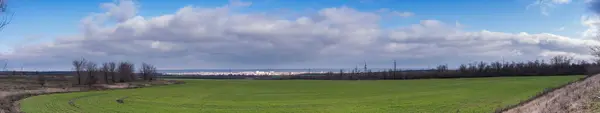 Hermosa vista panorámica. Campo de trigo verde con una ciudad blanca en el horizonte en un cielo azul con nubes de fondo — Foto de Stock