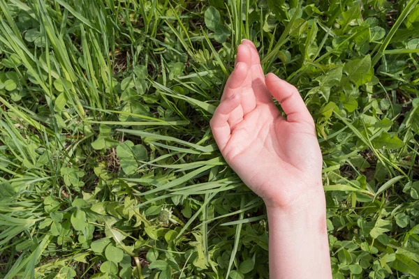 Vrouwelijke hand ligt op een groene weide, veld. Natuurlijke achtergrond Stockfoto
