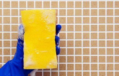 temizleme araçları