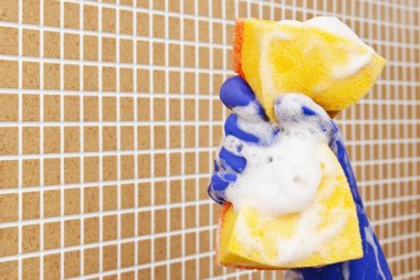 temizleme araçları