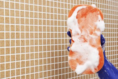 temizleme araçları