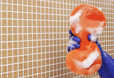 temizleme araçları